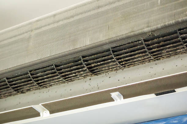 Best Ductwork Cleaning Services  in Webster, TX